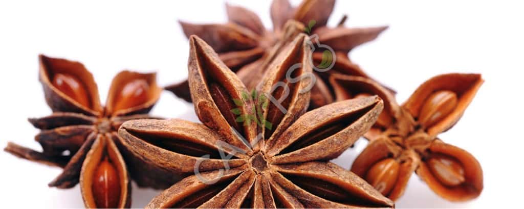 Olio naturale anise